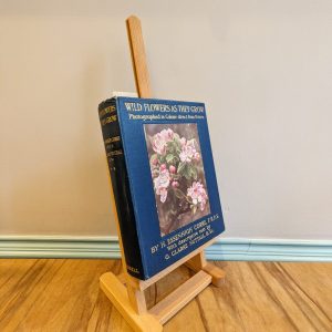 Wild Flowers As They Grow